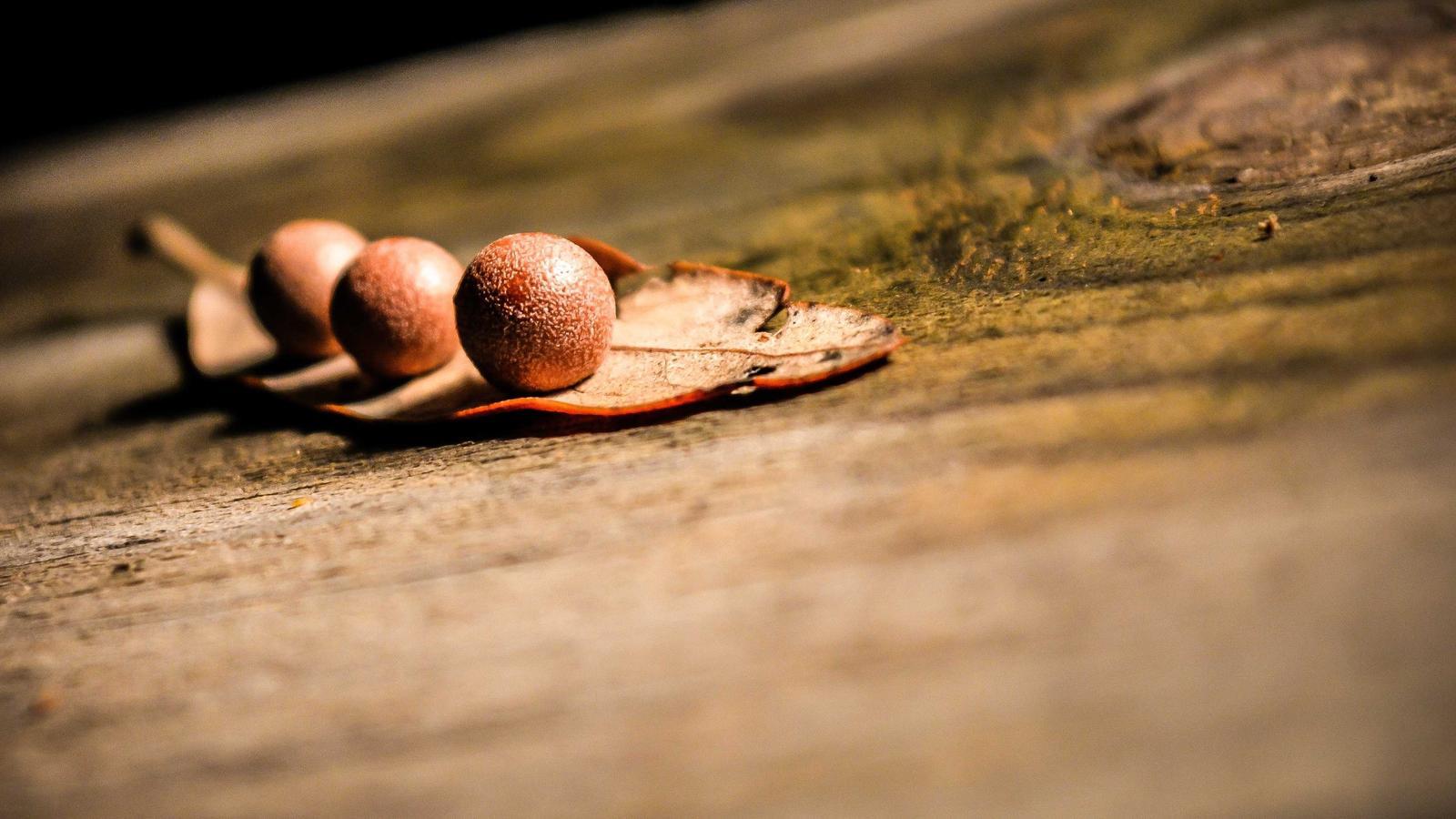 A controller next to a TV showing a fantasy game