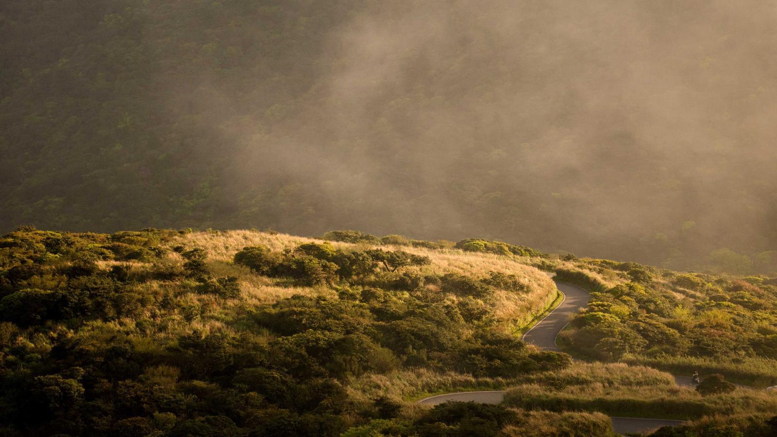 Abstract editorial image for AI for students in 2026: helpful vs harmful use