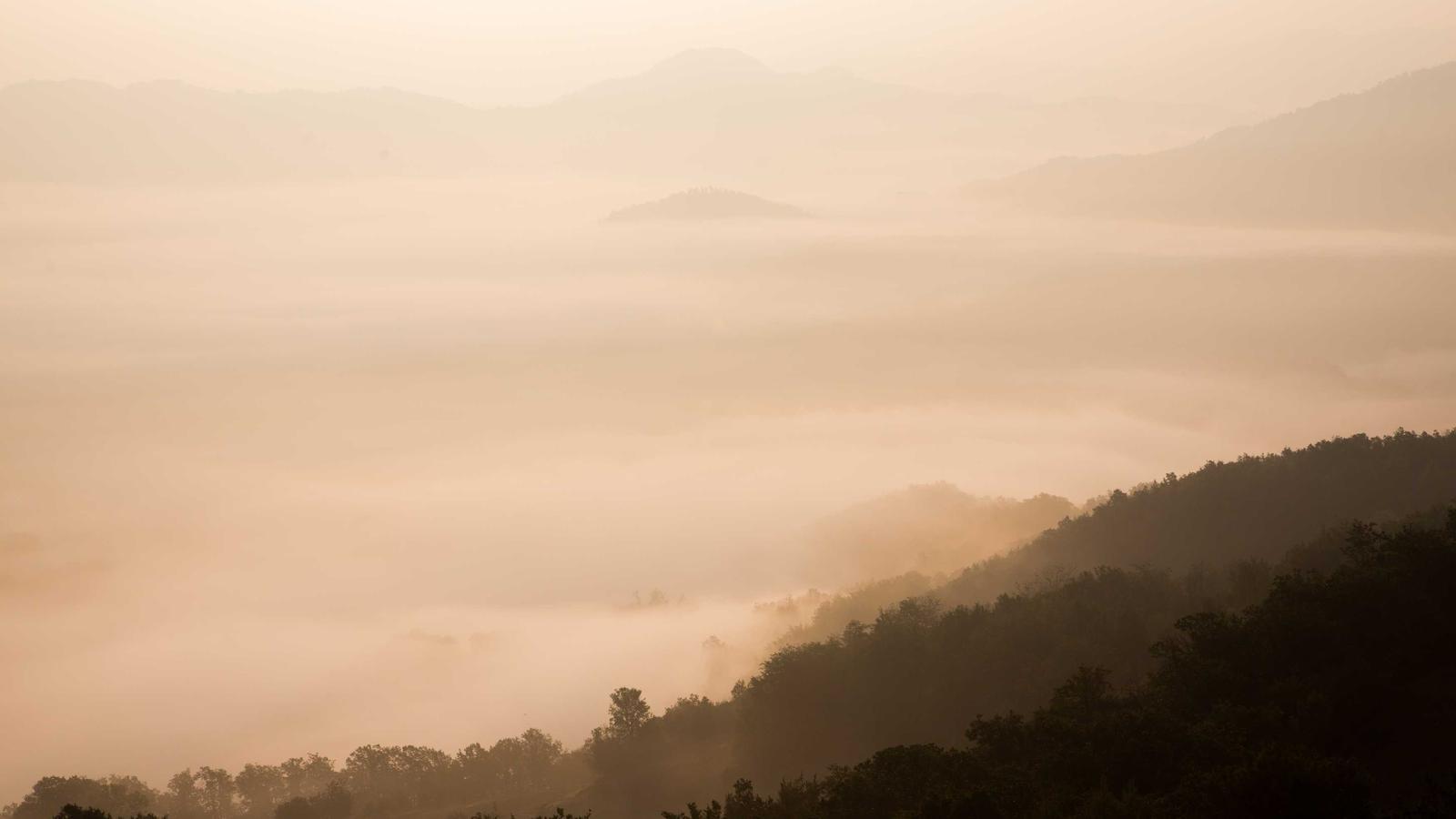 Abstract editorial image for AI regulation in 2026: what to watch