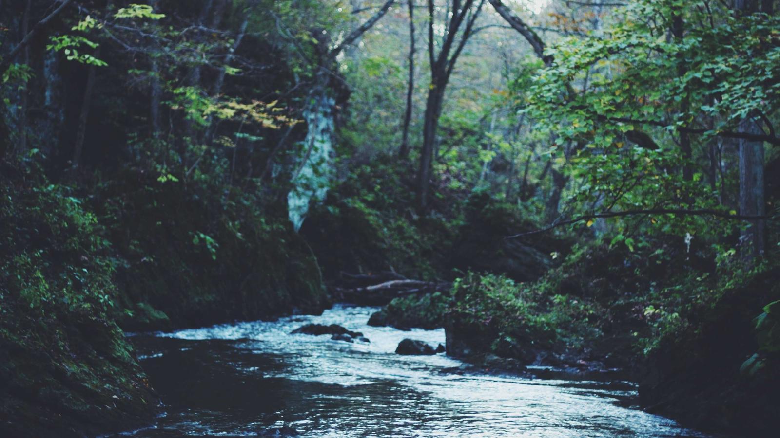 Editorial image about basketball: Angel Reese's impact on basketball explained