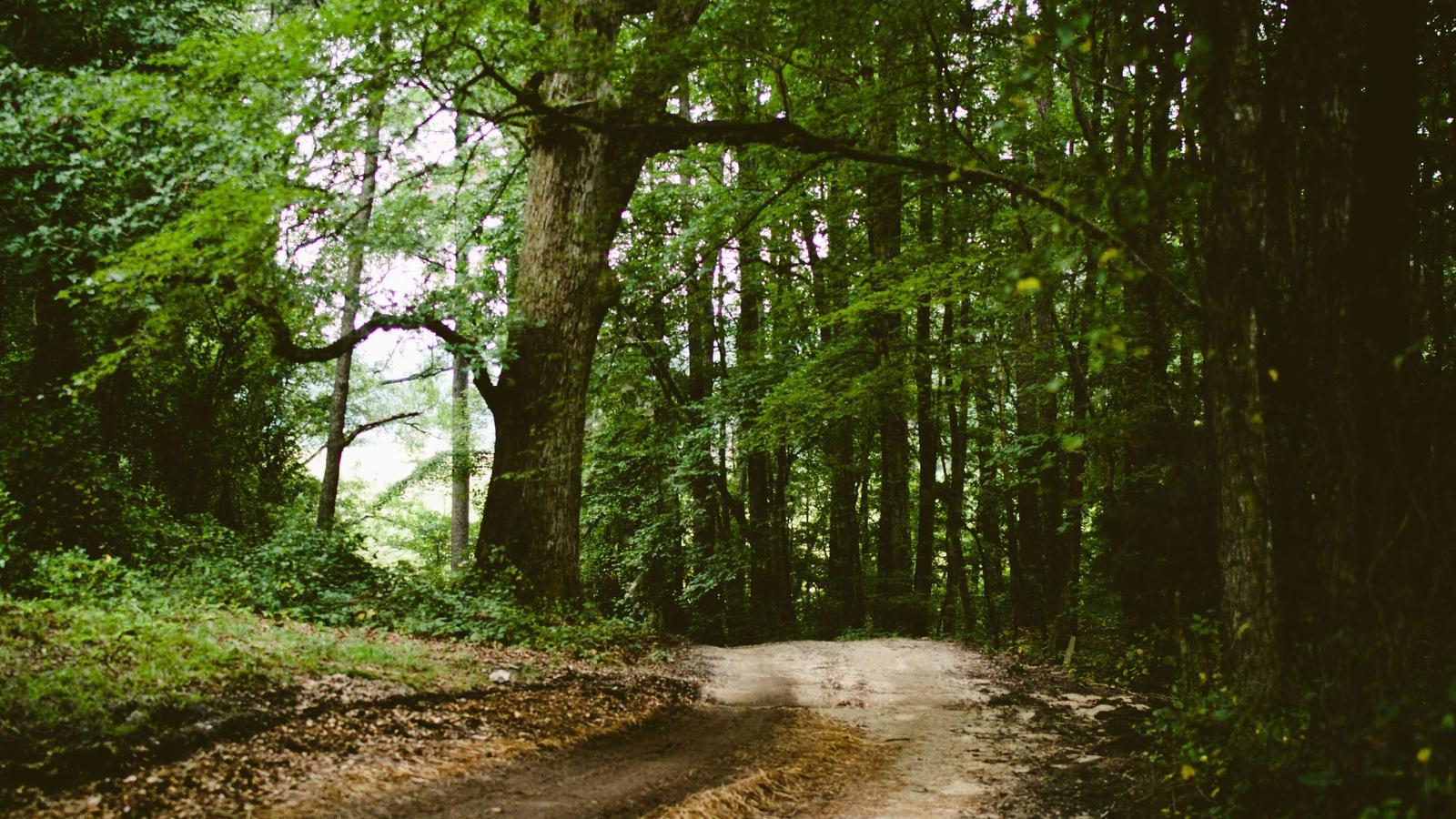 A cozy lo-fi gaming setup with soft warm lighting