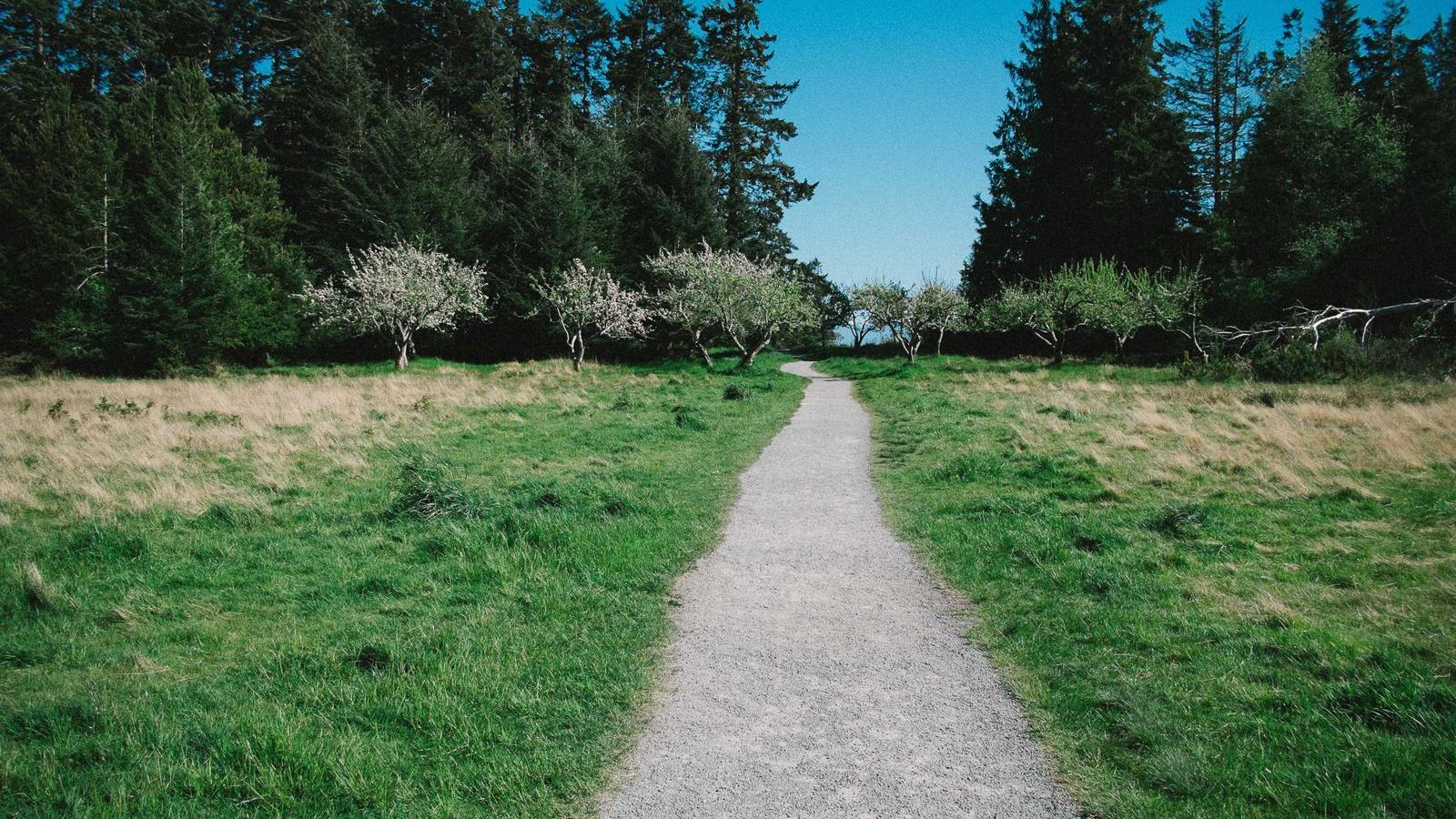 Editorial image about politics and civics: Can courts block executive orders?