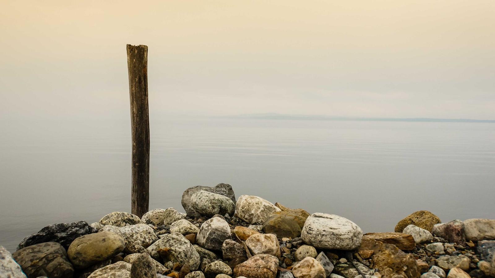 A halved onion on a wooden board next to a sharp knife