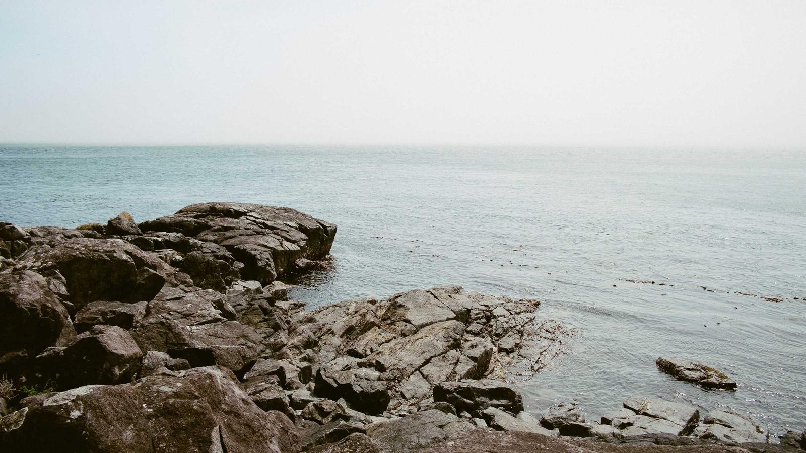 Editorial image about football: College football transfer portal explained