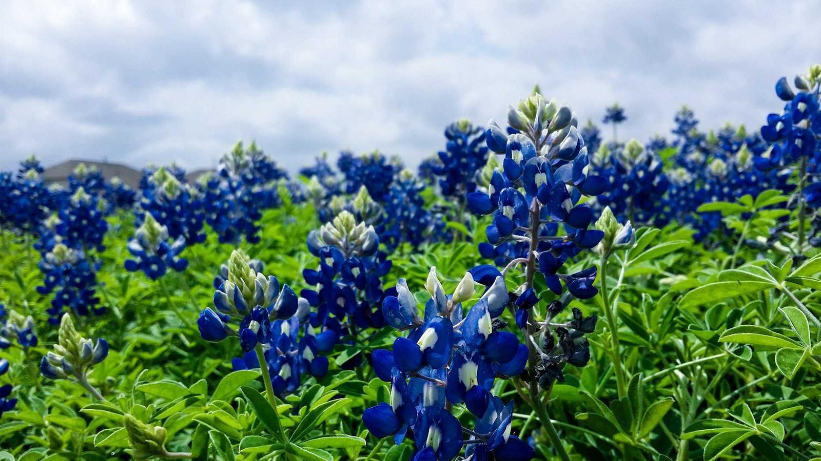 Editorial image about creator economy: Creator economy in 2026: what changed