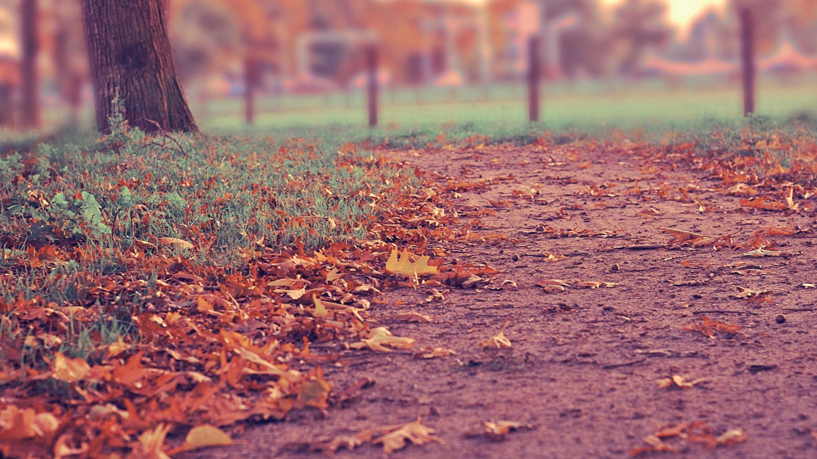 Editorial image about creator economy: Creator merch business: what actually sells