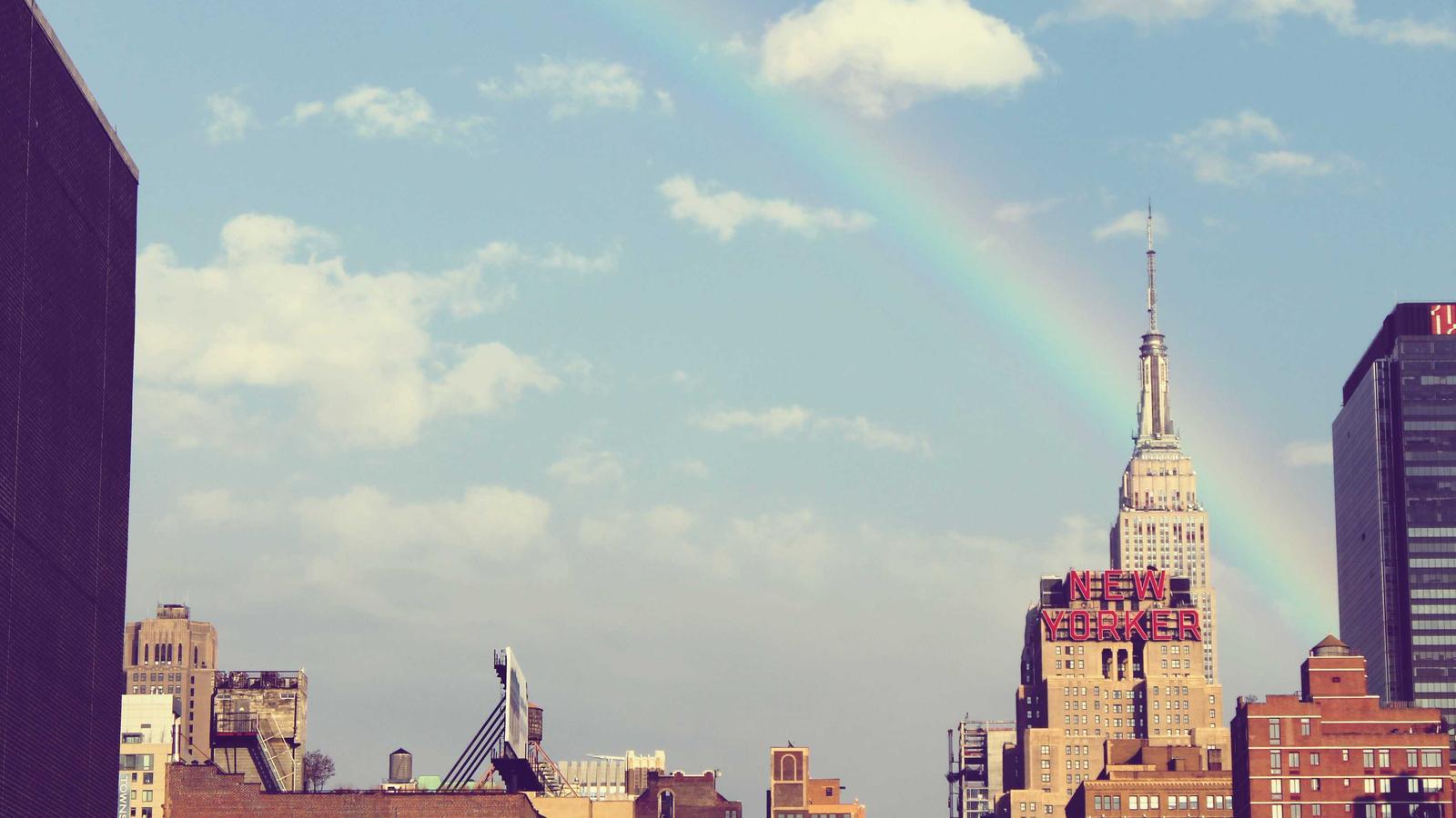A houseplant on a sunny windowsill