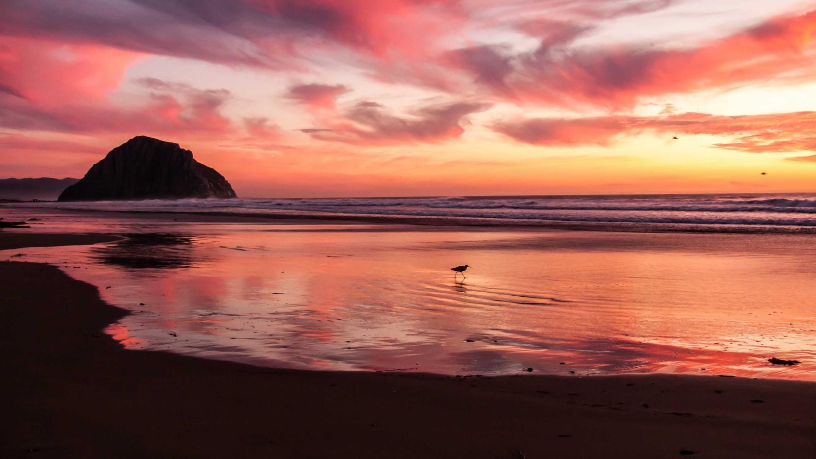 Abstract editorial image for Could AI build a GTA-sized game? The Musk claim, explained