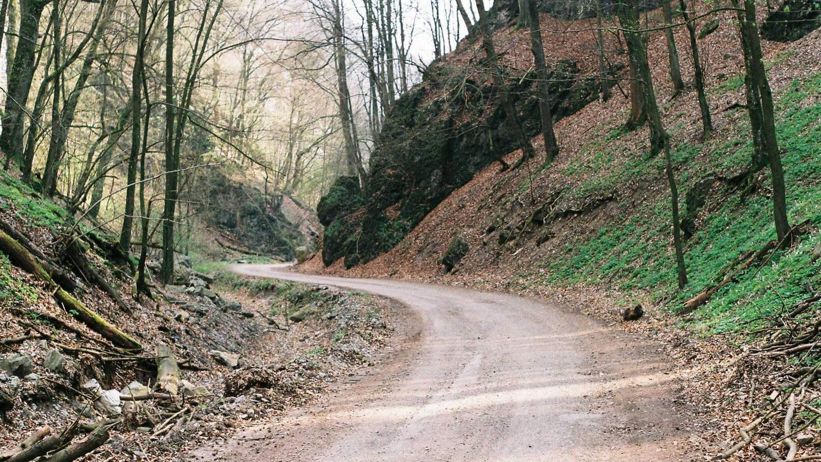 Editorial image about football: Fantasy football draft strategy for beginners