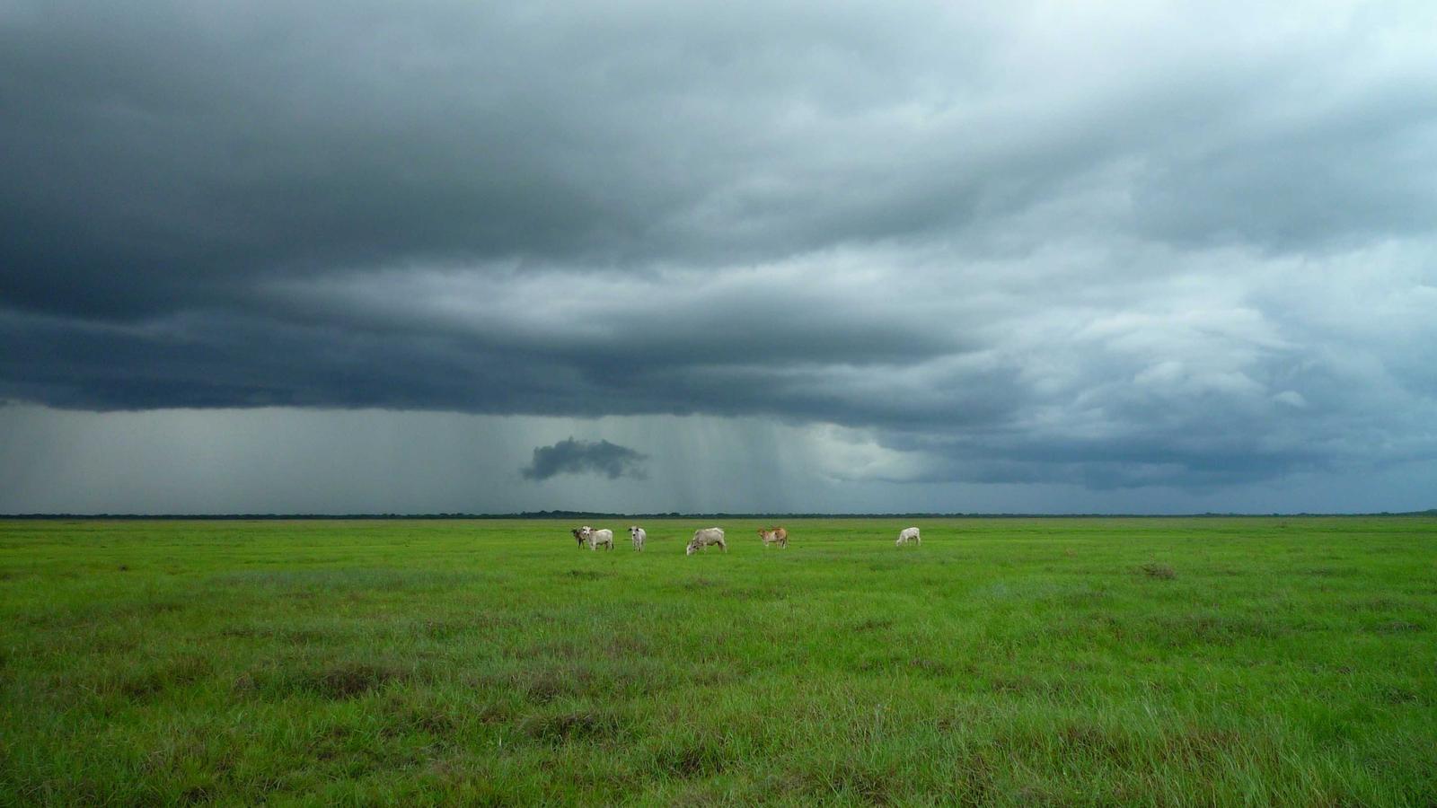 Editorial image about football: What does PPR mean in fantasy football?