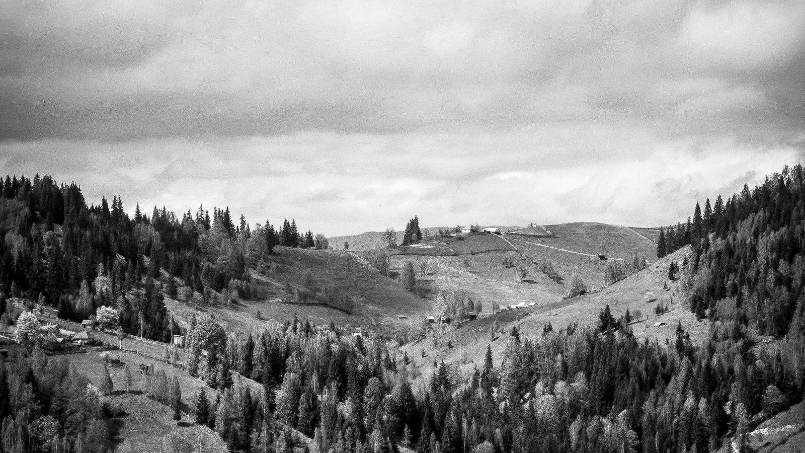 Tools and faucet parts on a clean countertop