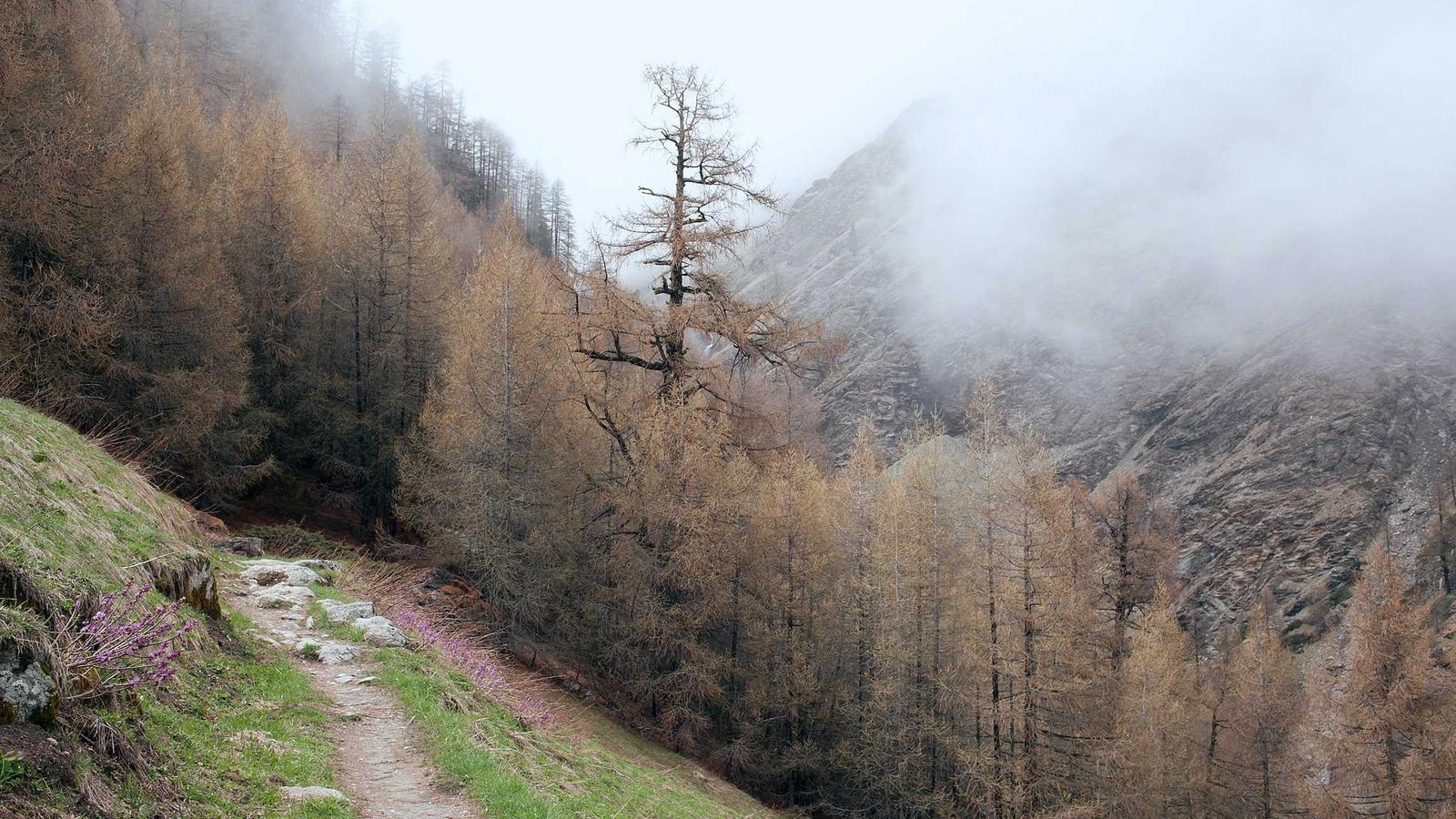 Editorial image about football: Offensive line positions explained