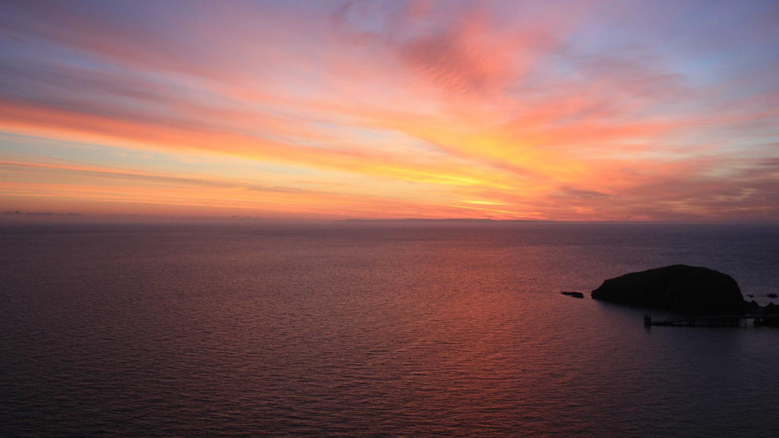 Abstract editorial image for Why OpenAI launched a GPT-5.5 bio bug bounty