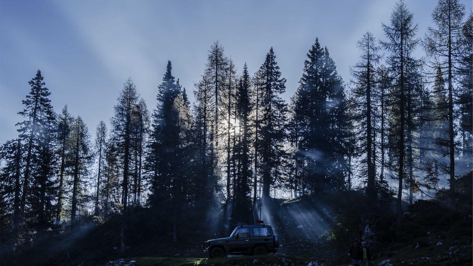 Abstract editorial image for Grok 4.20 API explained for developers