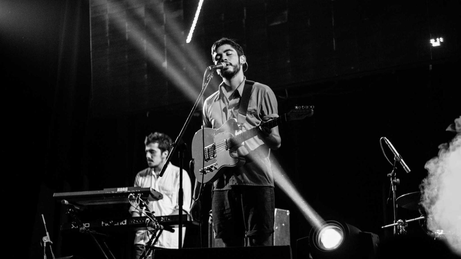 Lettuce growing in a wooden planter box
