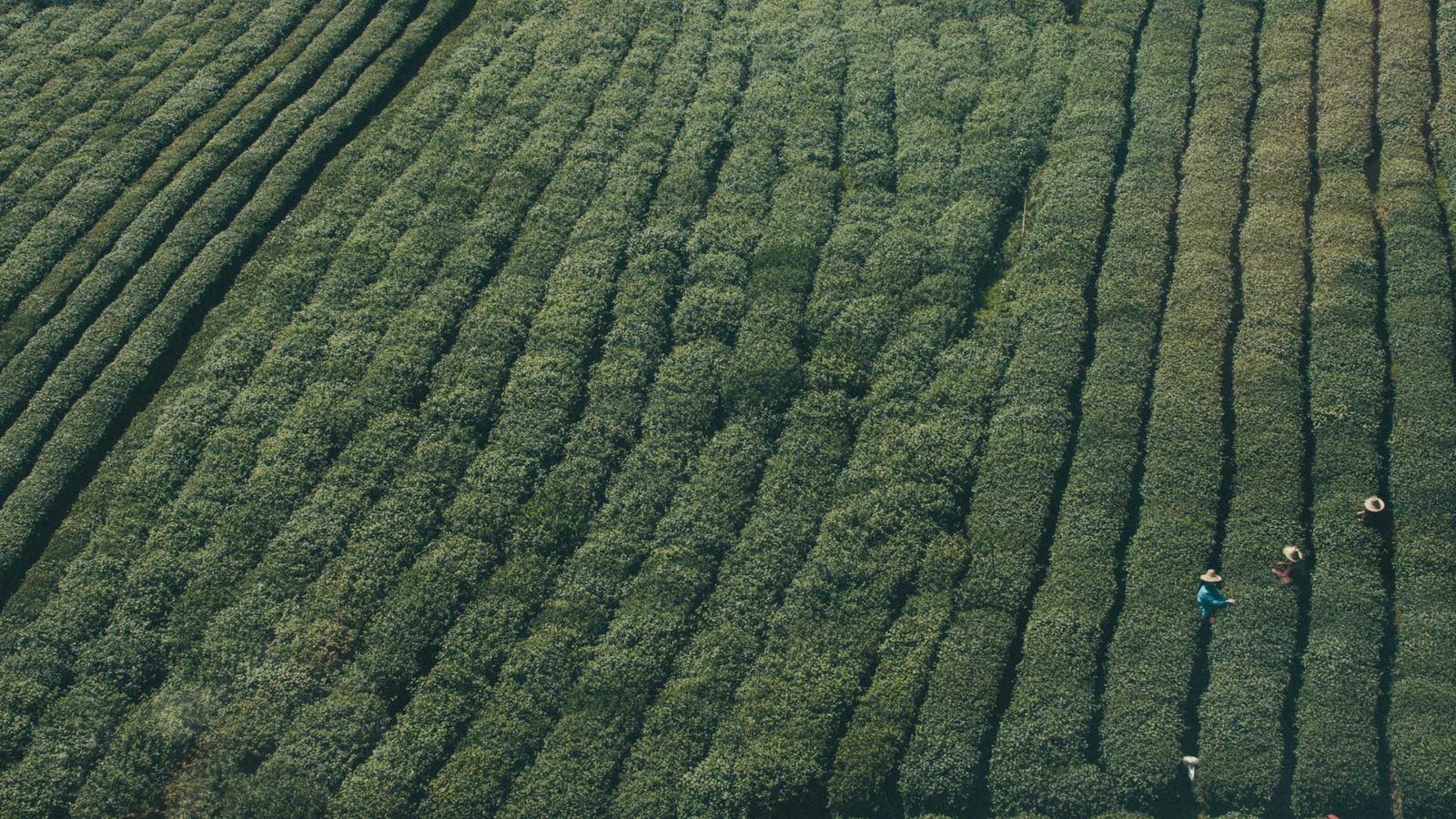 Editorial gaming image for How AI is making GTA 6 rumors harder to trust