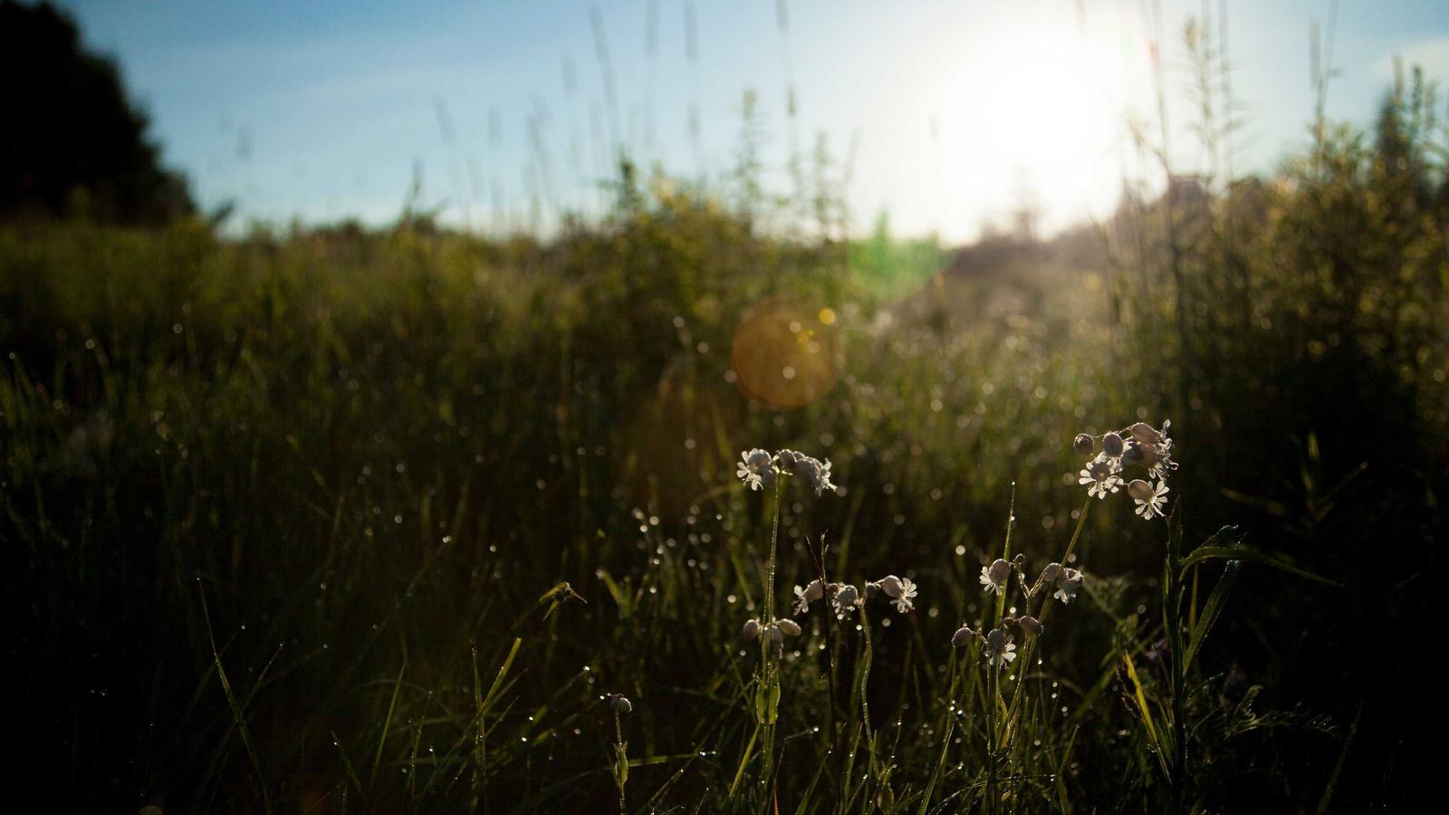 Editorial gaming image for GTA 6 PC release: why there is no confirmed date yet