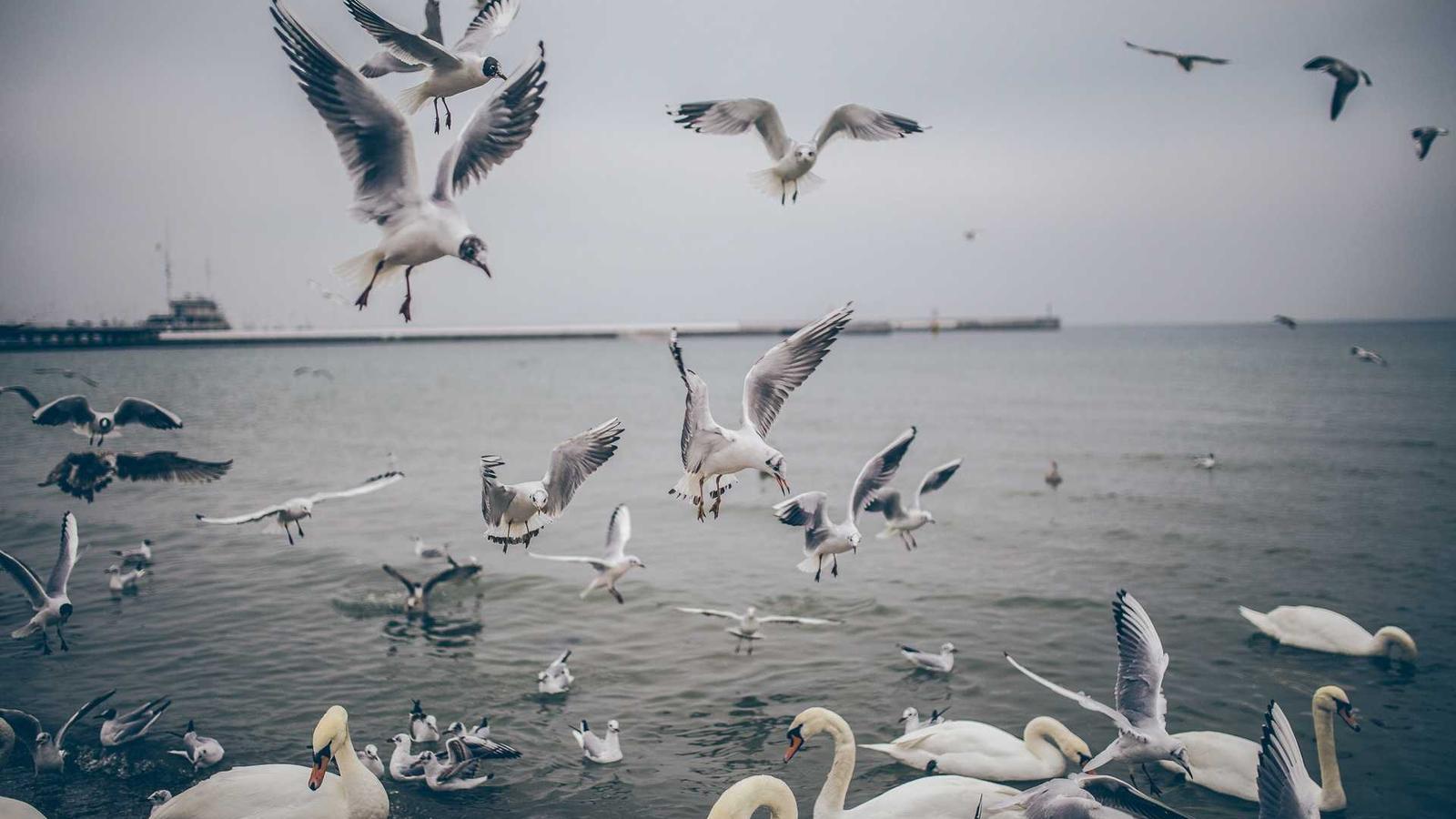 Editorial gaming image for GTA 6 price rumors: what is confirmed?