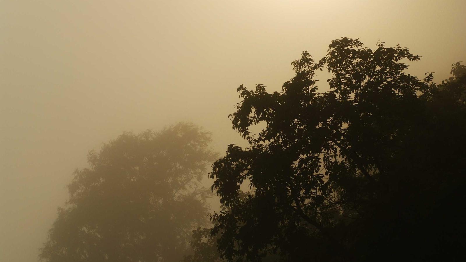 Editorial gaming image for GTA 6 Trailer 2 breakdown: what mattered most