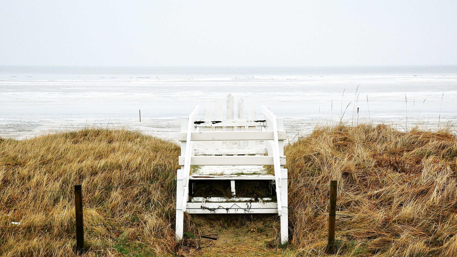 Editorial image about politics and civics: How presidential pardons work