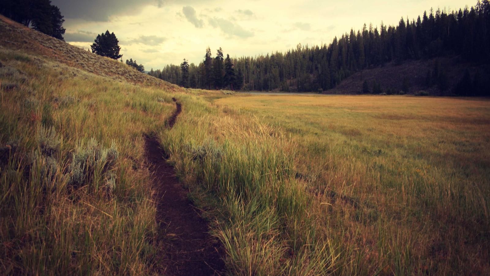 Helpful lifestyle image for How to make a weekly paper clutter routine