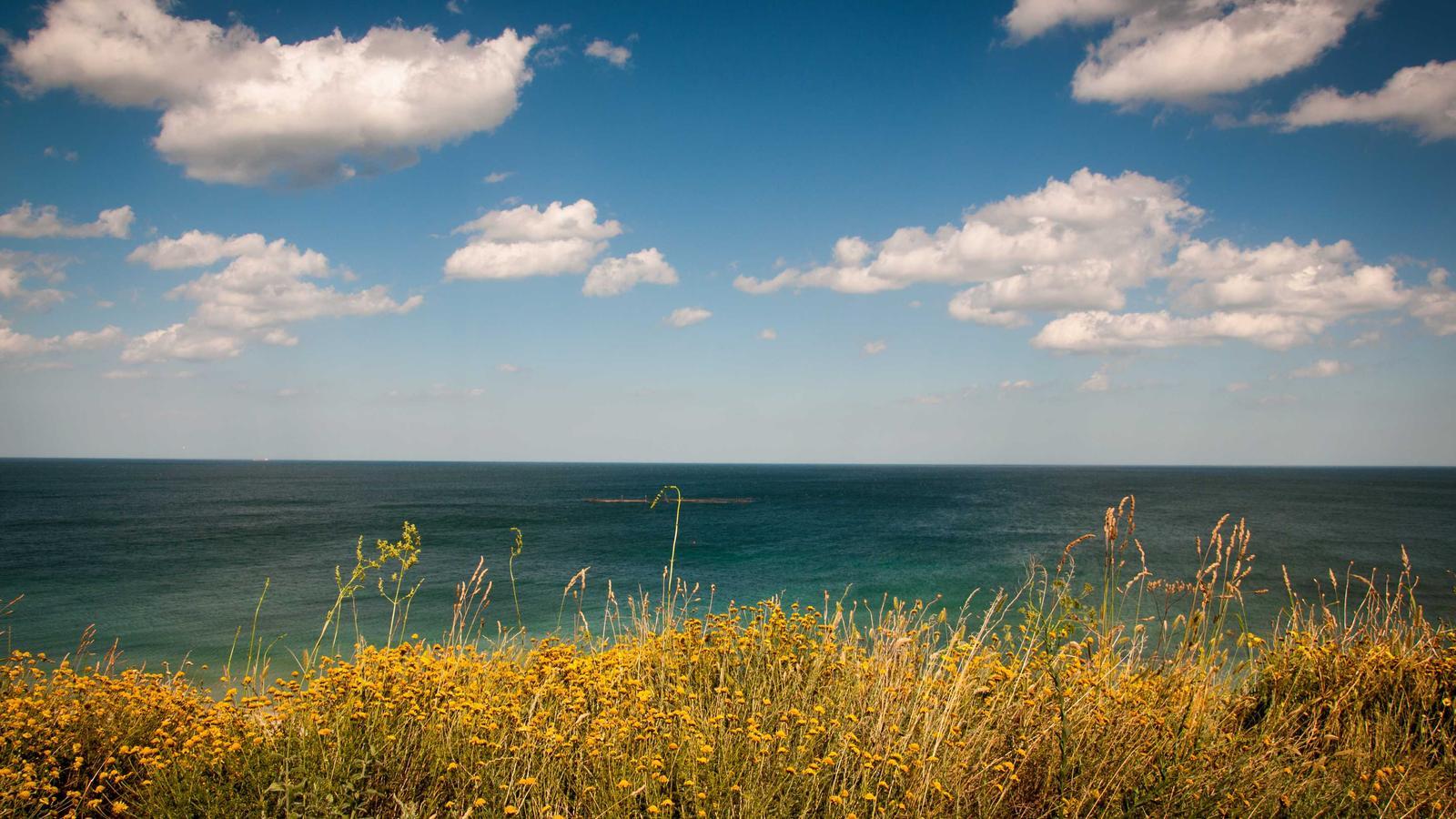 Helpful lifestyle image for How to make boxed mac and cheese taste better