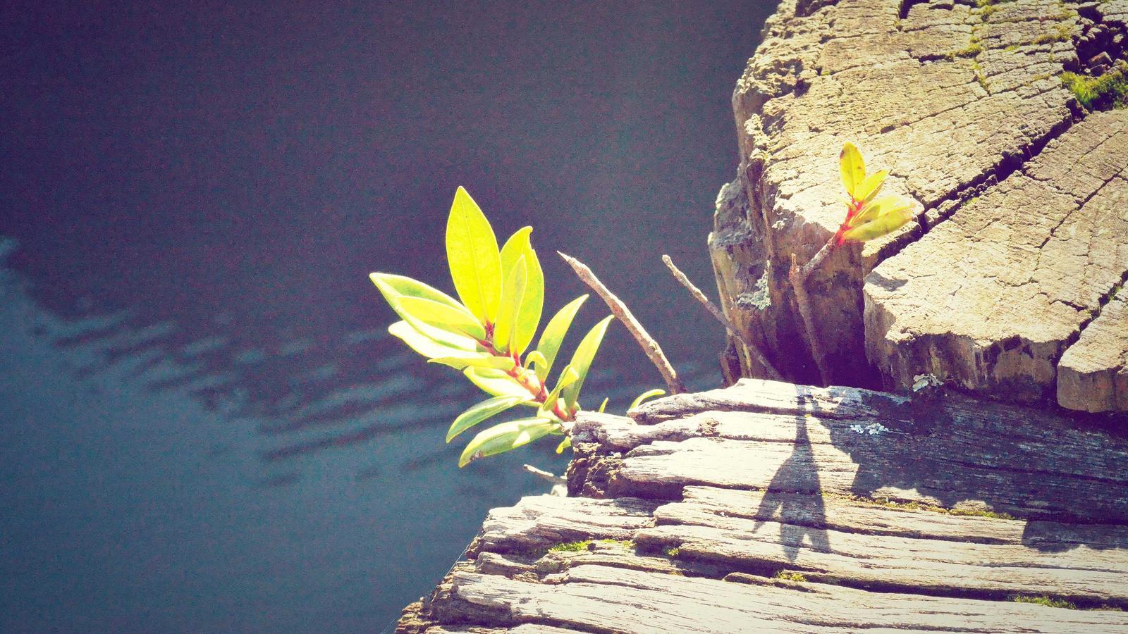 Helpful lifestyle image for How to organize kids backpacks by the door