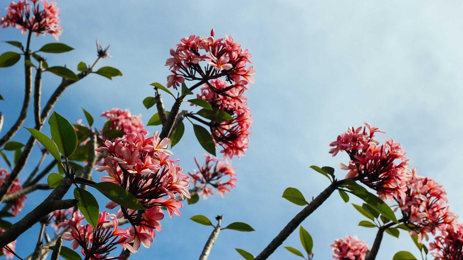 Helpful lifestyle image for How to plan for yearly expenses