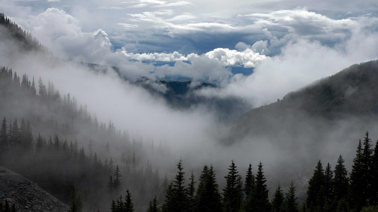 Helpful lifestyle image for How to prepare kids for a long car ride