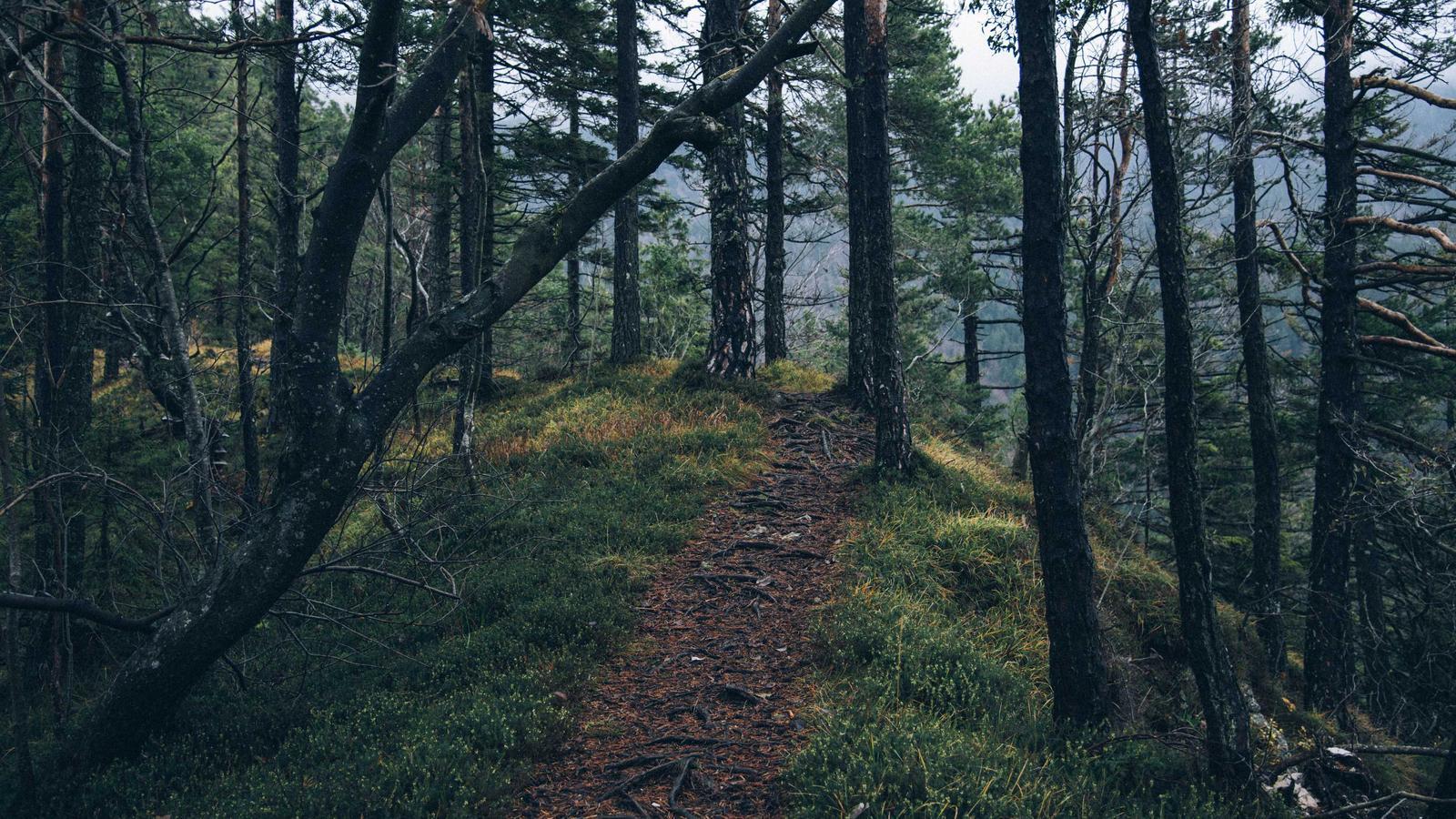 Editorial image about politics and civics: How to read political news without getting spun