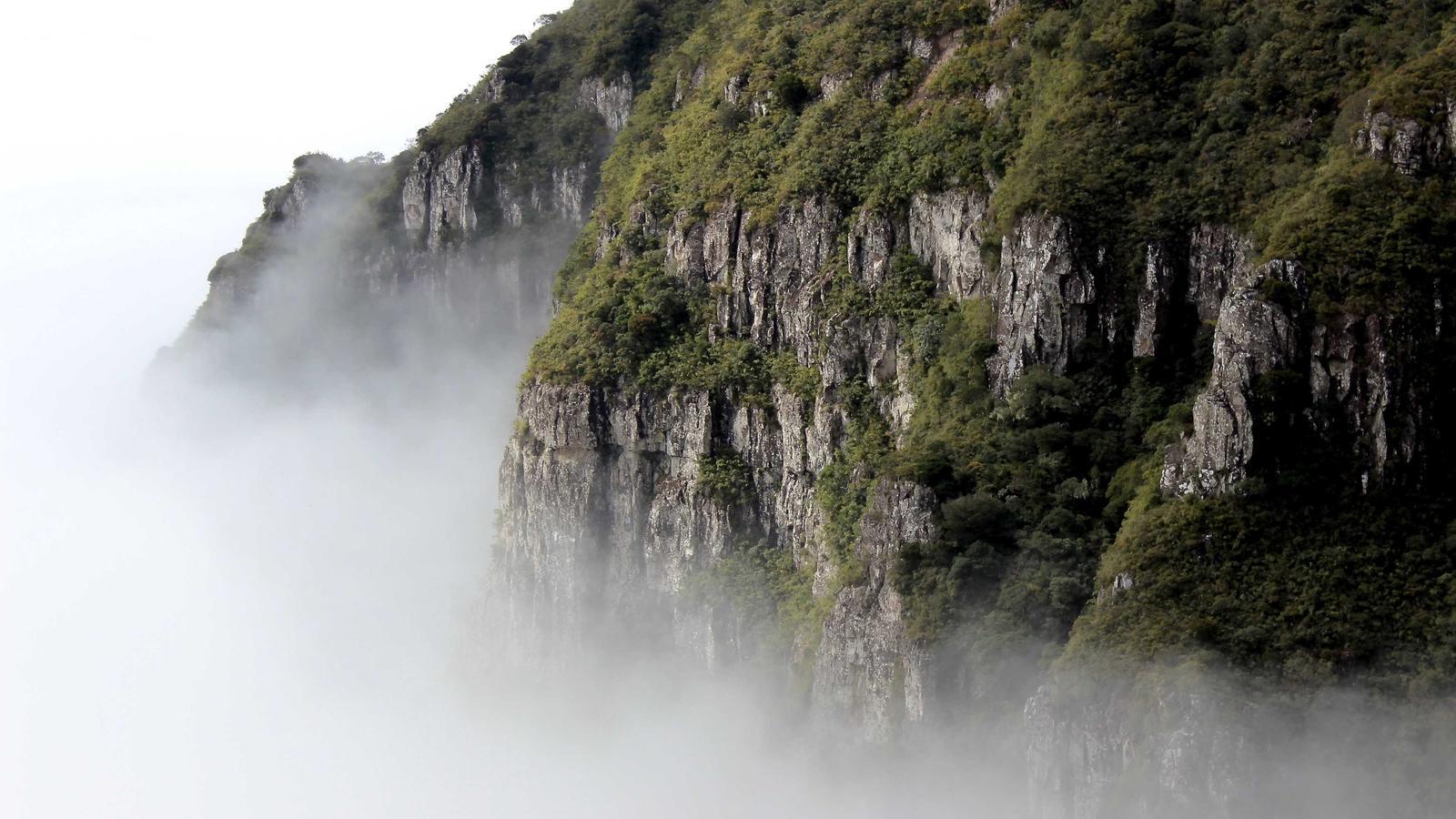 Helpful lifestyle image for How to split groceries with roommates
