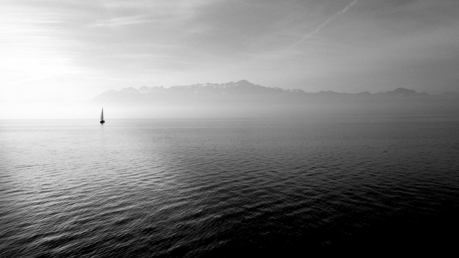 Helpful lifestyle image for How to stop overwatering houseplants