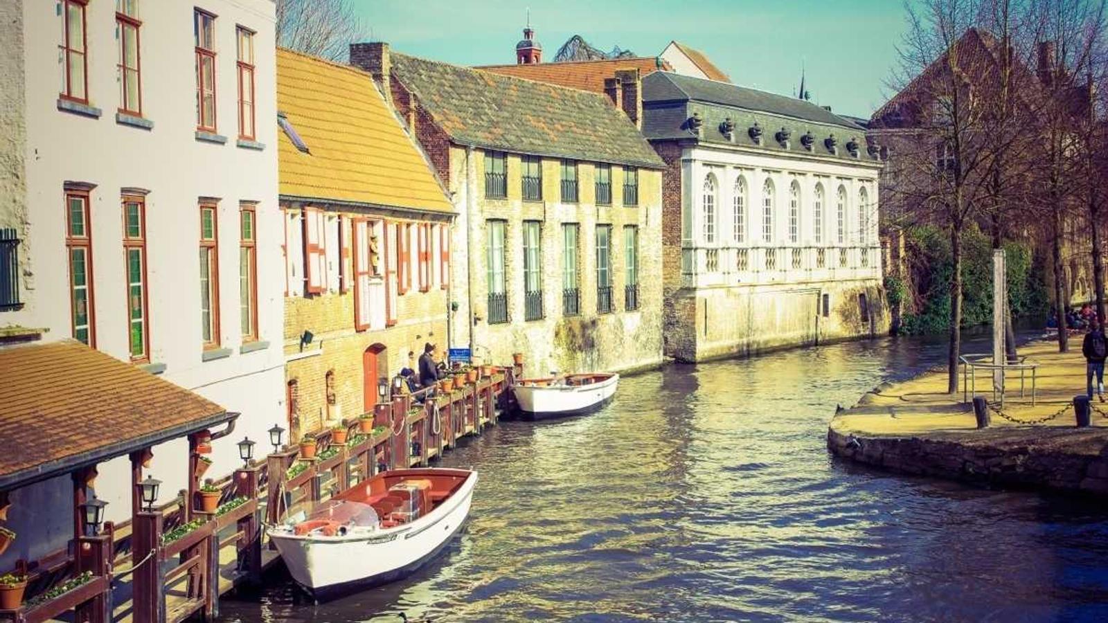 Helpful lifestyle image for How to tell if a plant needs water