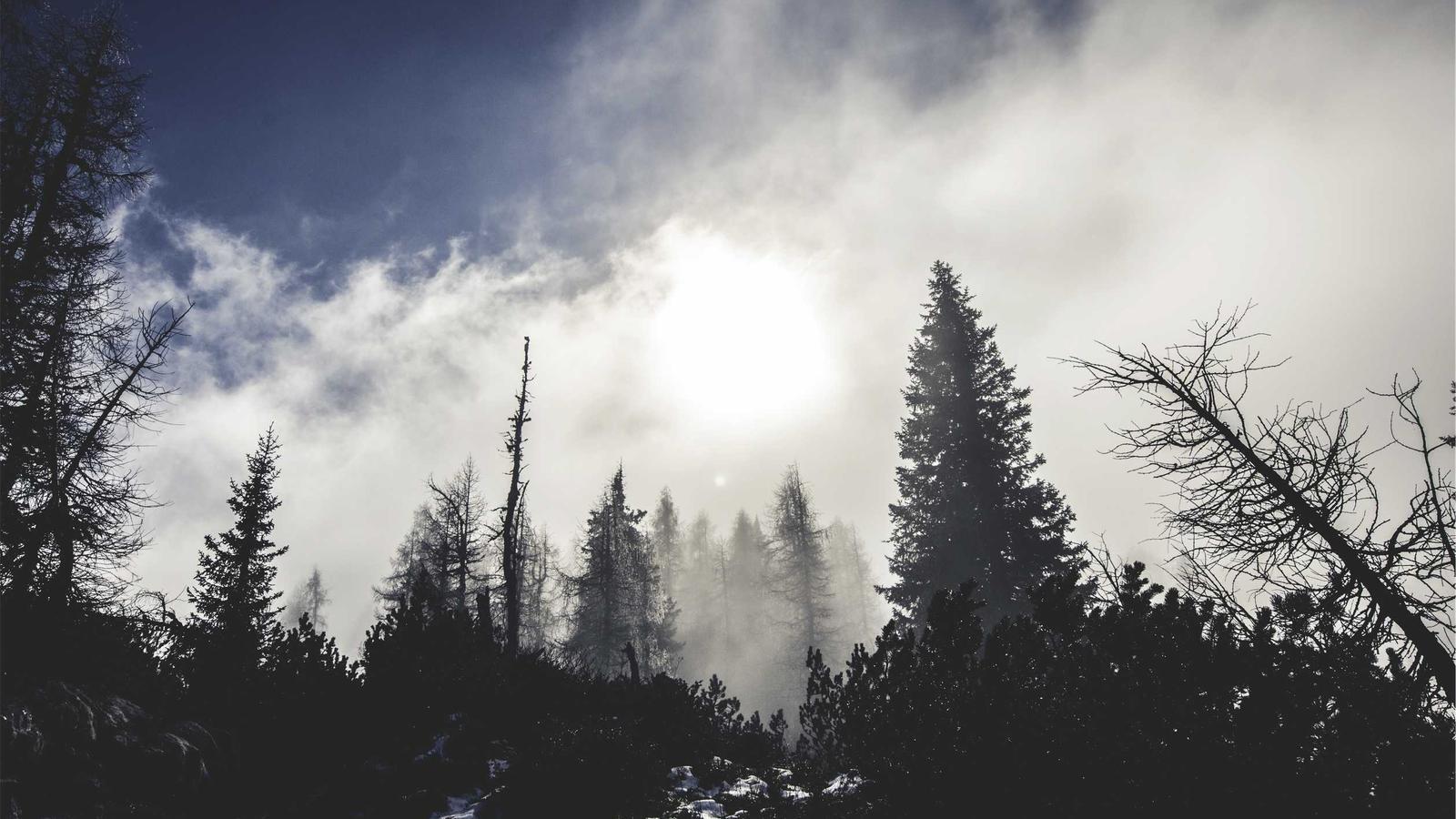 Editorial image about creator economy: Why IShowSpeed became so popular