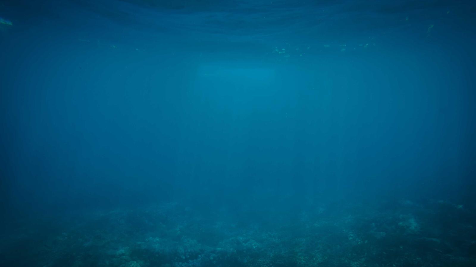 Helpful editorial image for Best cozy games to play after work