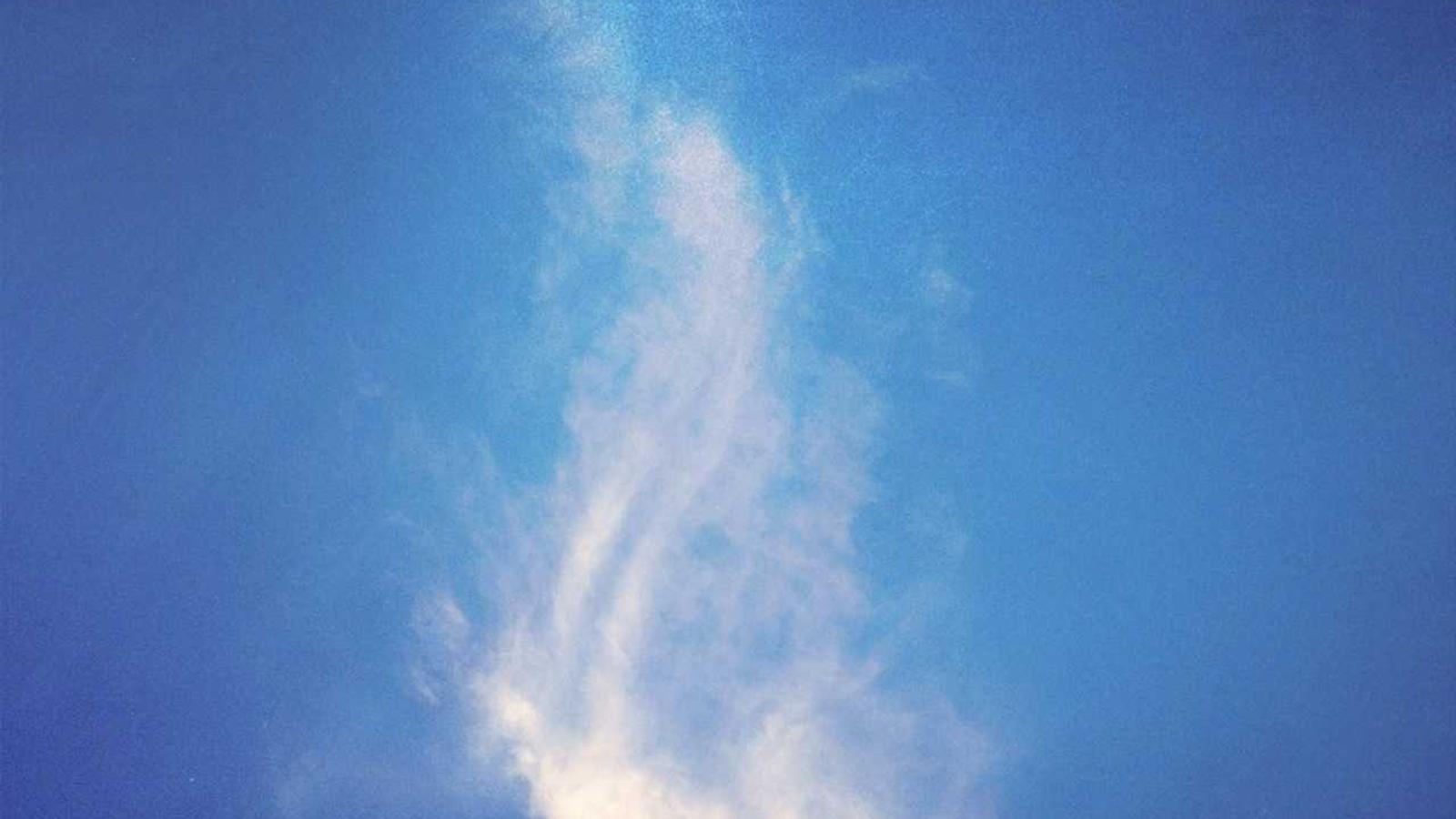 Helpful editorial image for College football transfer portal winners explained