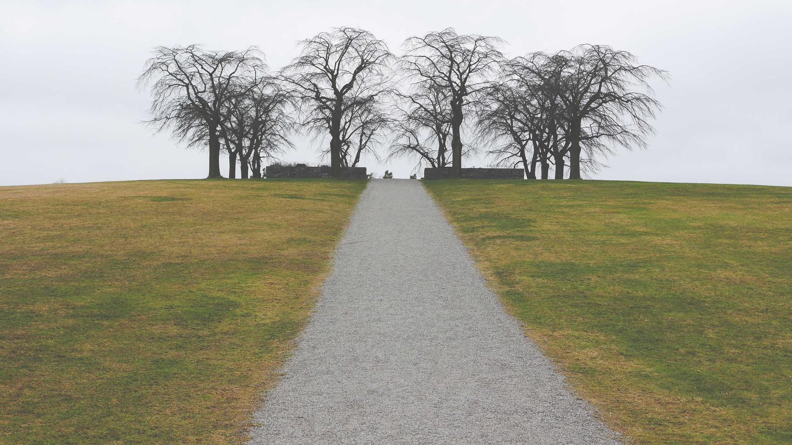 Helpful editorial image for GTA 6 delay fears: how to check real updates