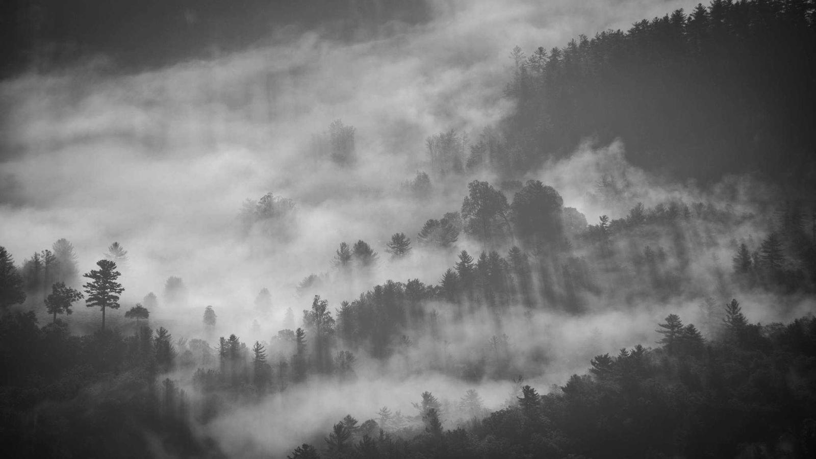 Helpful editorial image for GTA 6 price rumors and why they spread