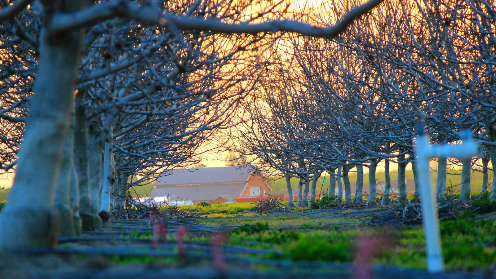 Helpful editorial image for How creators use newsletters to keep fans