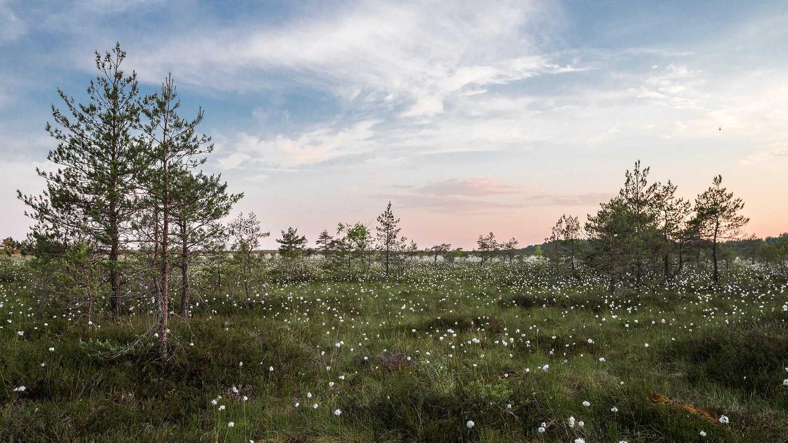 Helpful editorial image for How to answer tell me about yourself