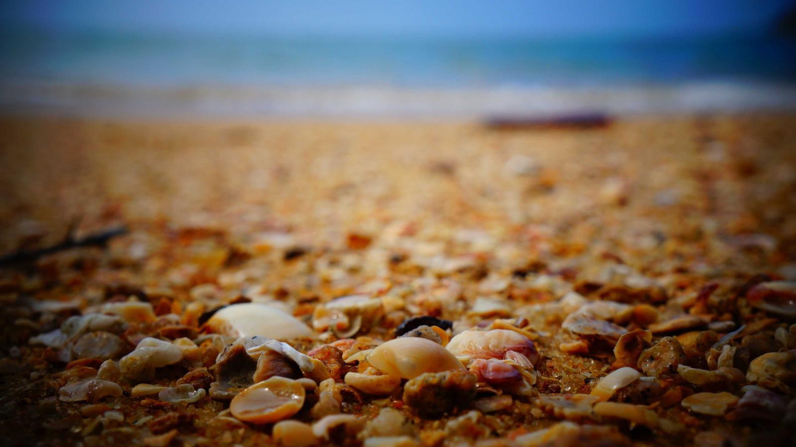 Helpful editorial image for How to avoid baggage fees