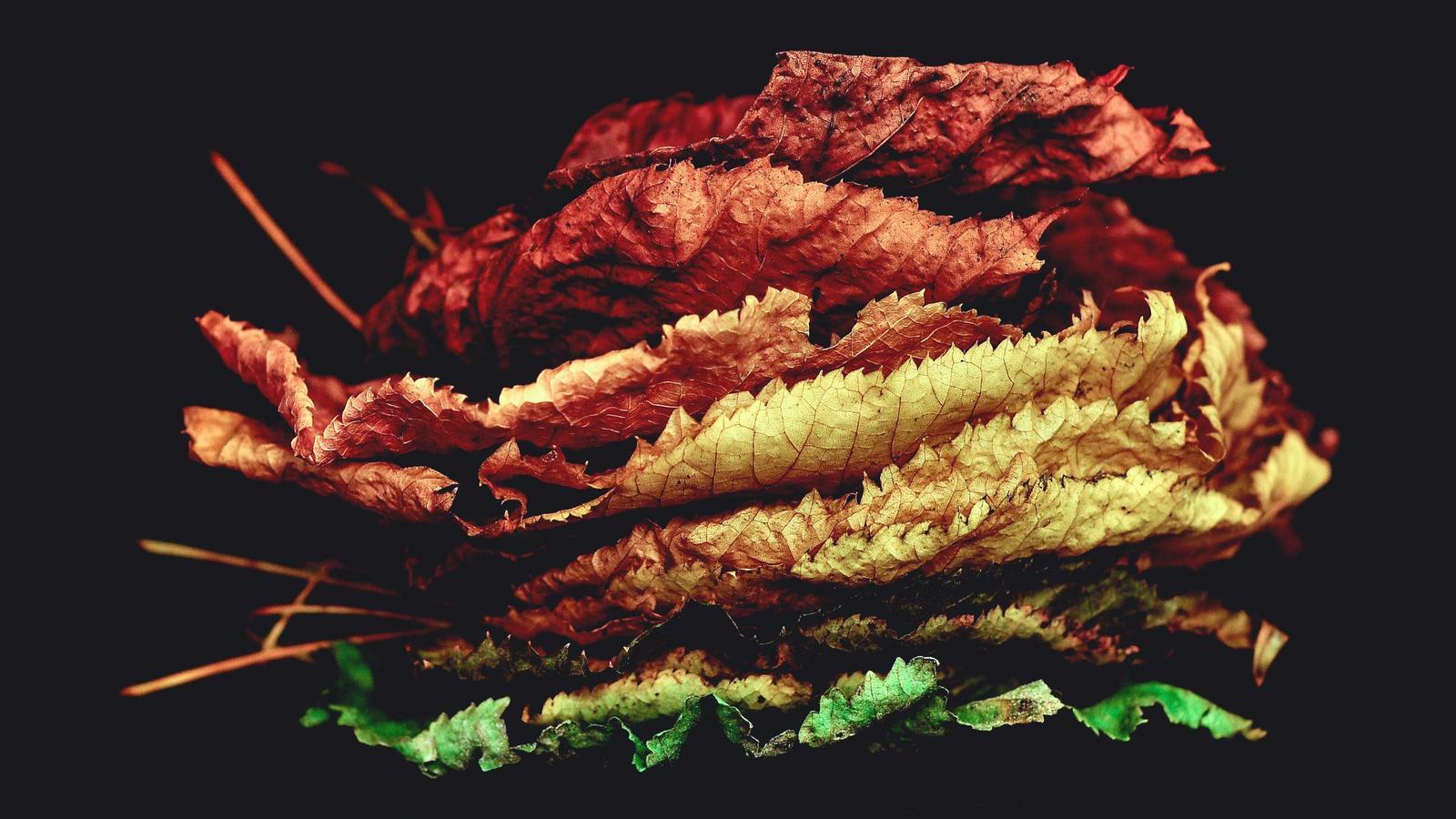 Helpful editorial image for How to avoid counterfeit products online