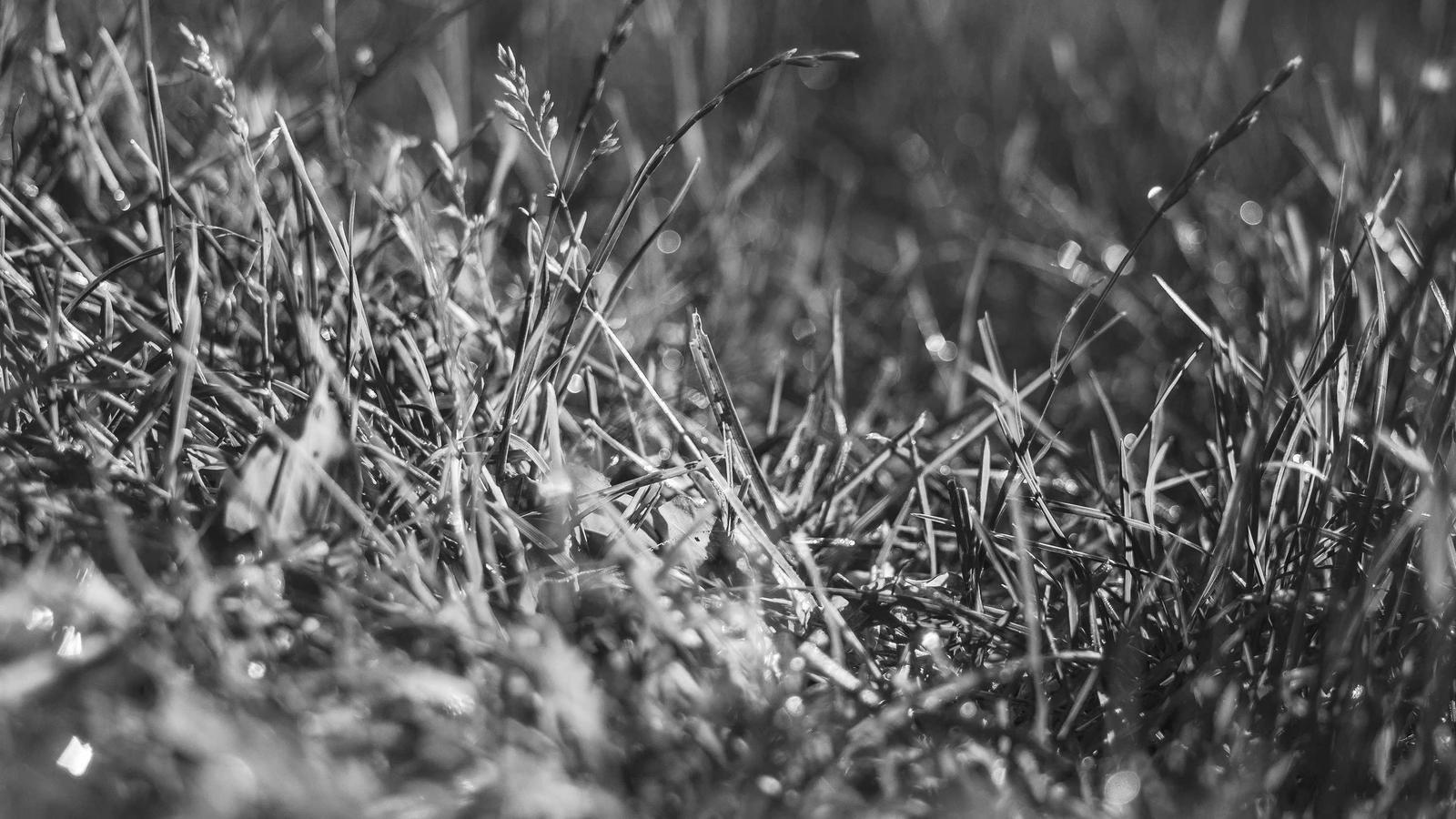 Helpful editorial image for How to clean car seats