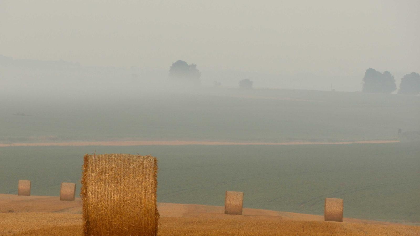 Helpful editorial image for How to clear cache without losing passwords