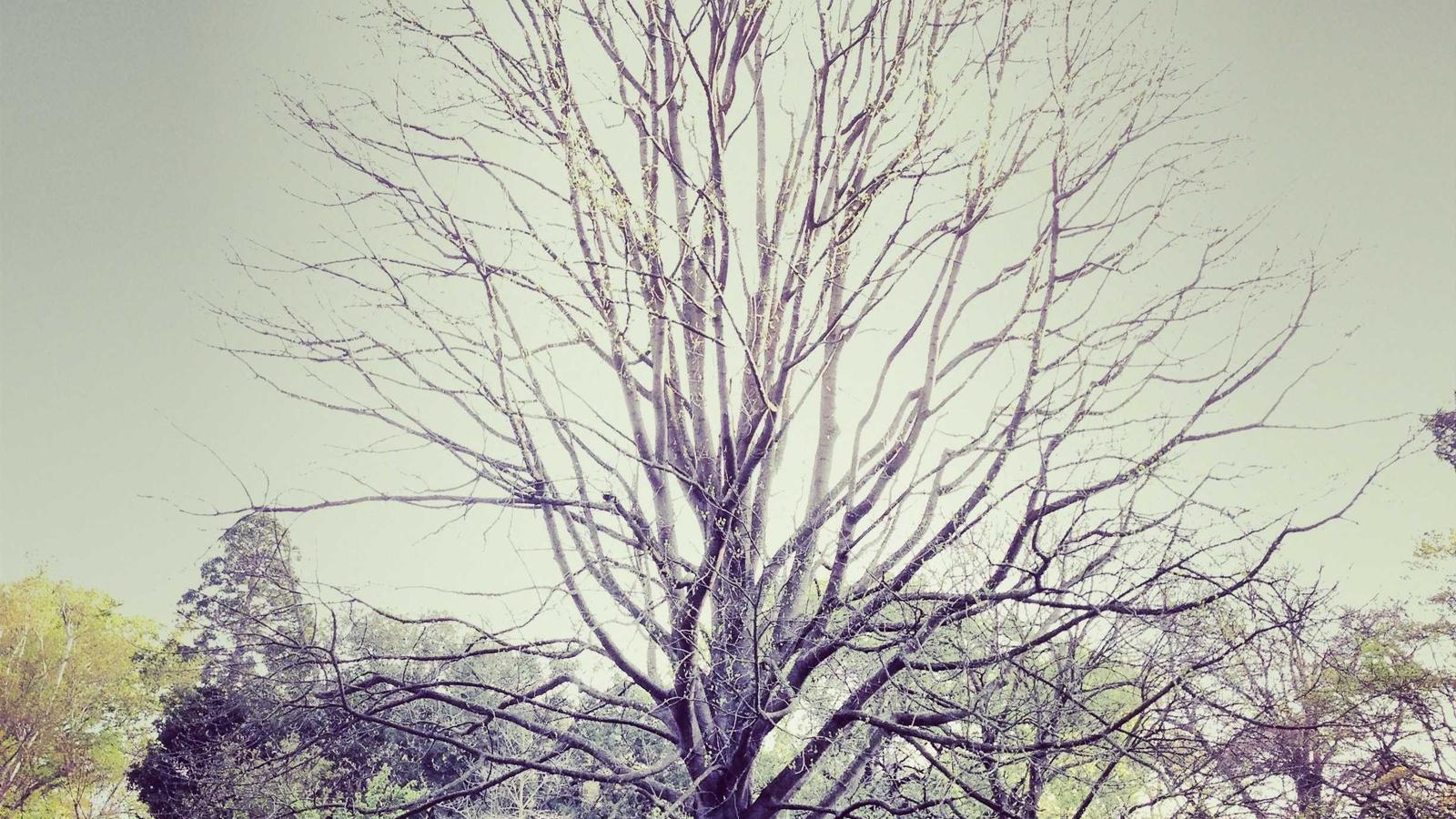 Helpful editorial image for How to fill out a March Madness bracket