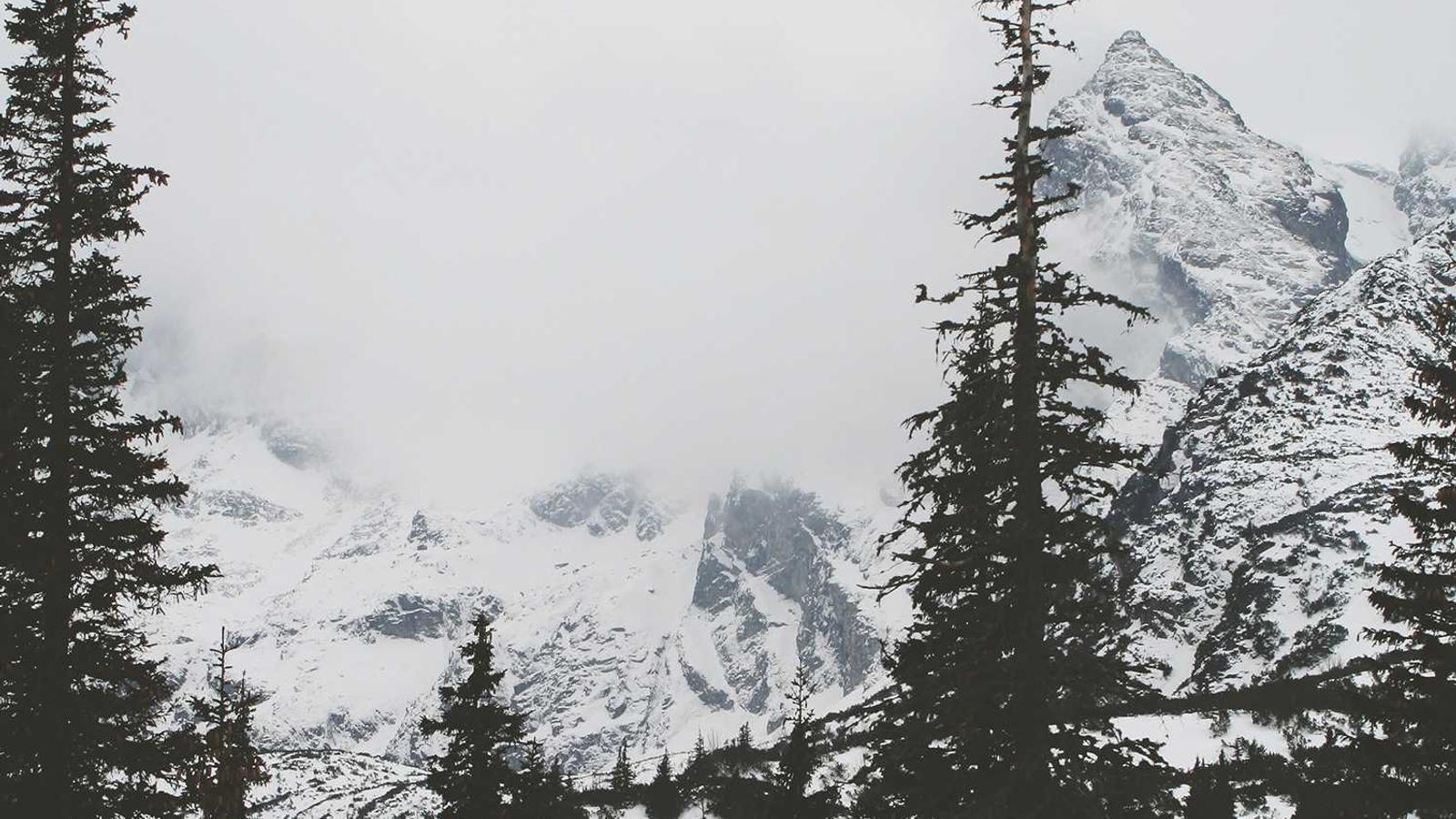 Helpful editorial image for How to follow gaming news without getting fooled