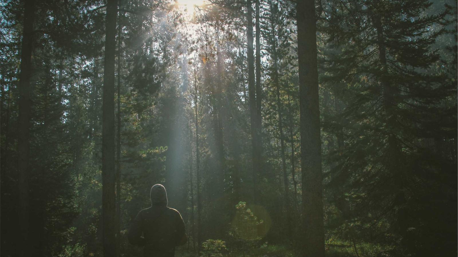 Helpful editorial image for How to help kids with homework without doing it