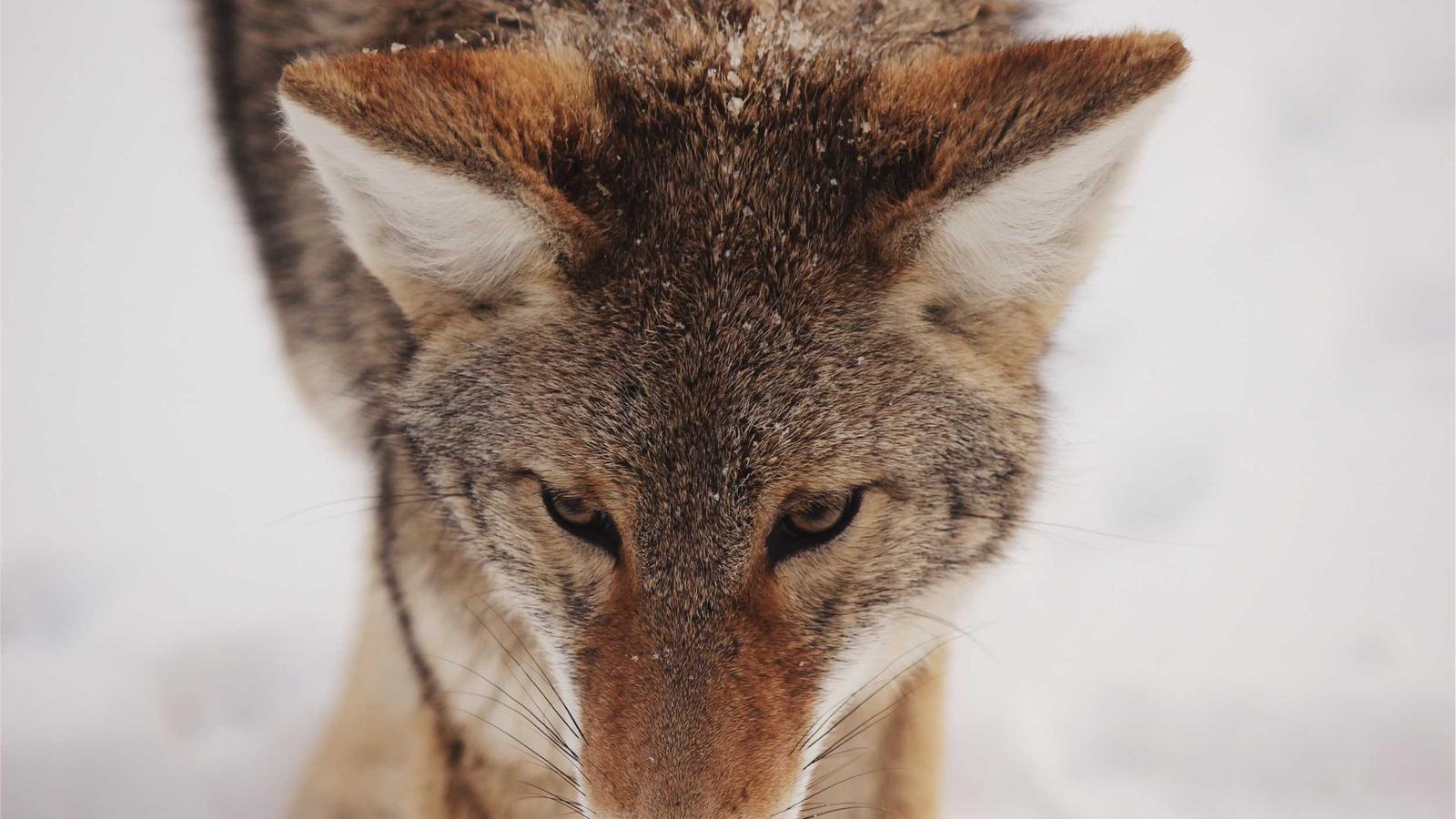 Helpful editorial image for How to make family dinner easier