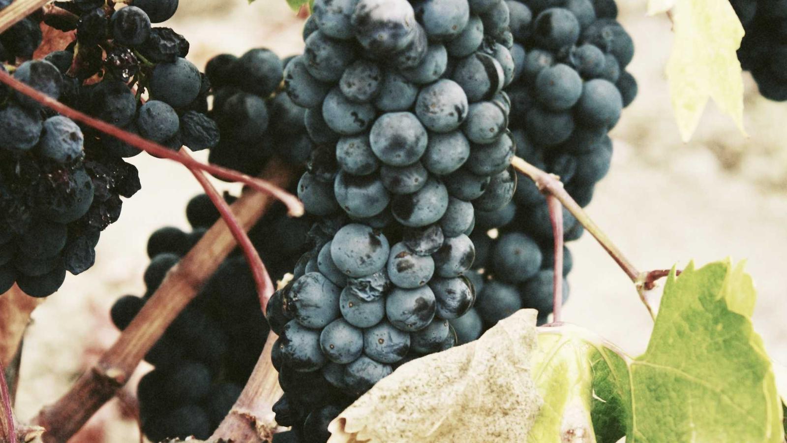 Helpful editorial image for How to make freezer meals for busy weeks