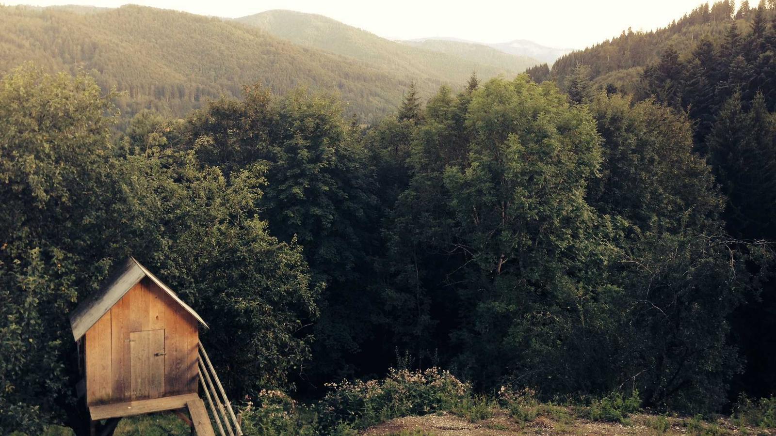 Helpful editorial image for How to make overnight oats less mushy